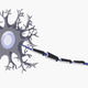 Image for article titled A tumor stole every memory I had. This is what happened when it all came back